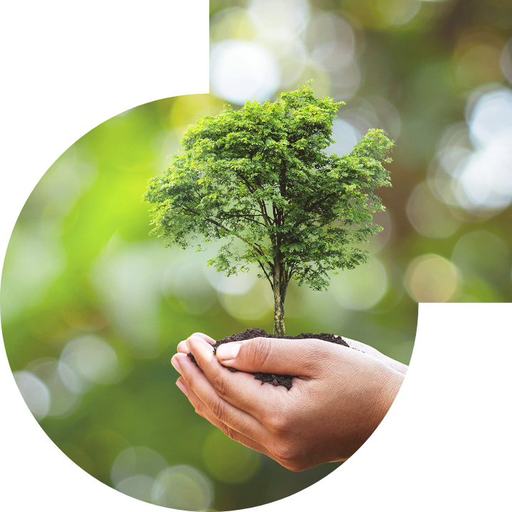 关怀人类、文化、环境与社会